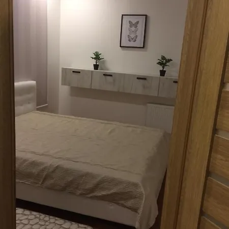 City Centre Apartament *